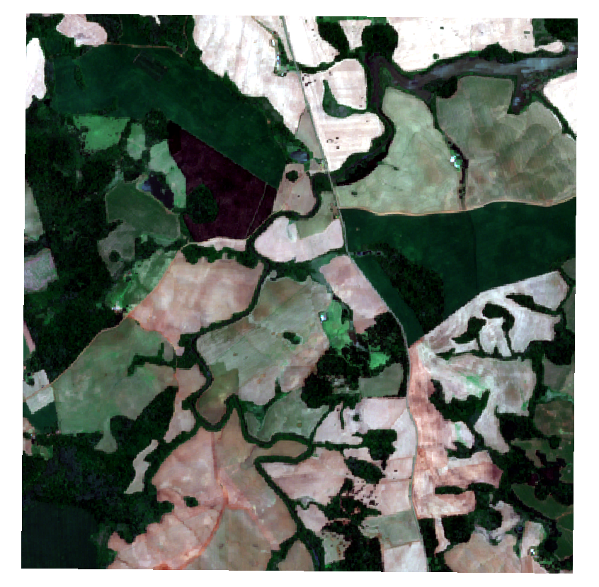 IMage of Atlantic forest tile
